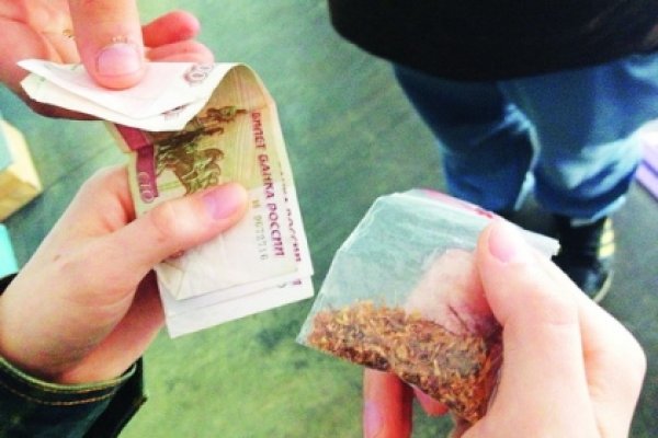 Почему не работает кракен